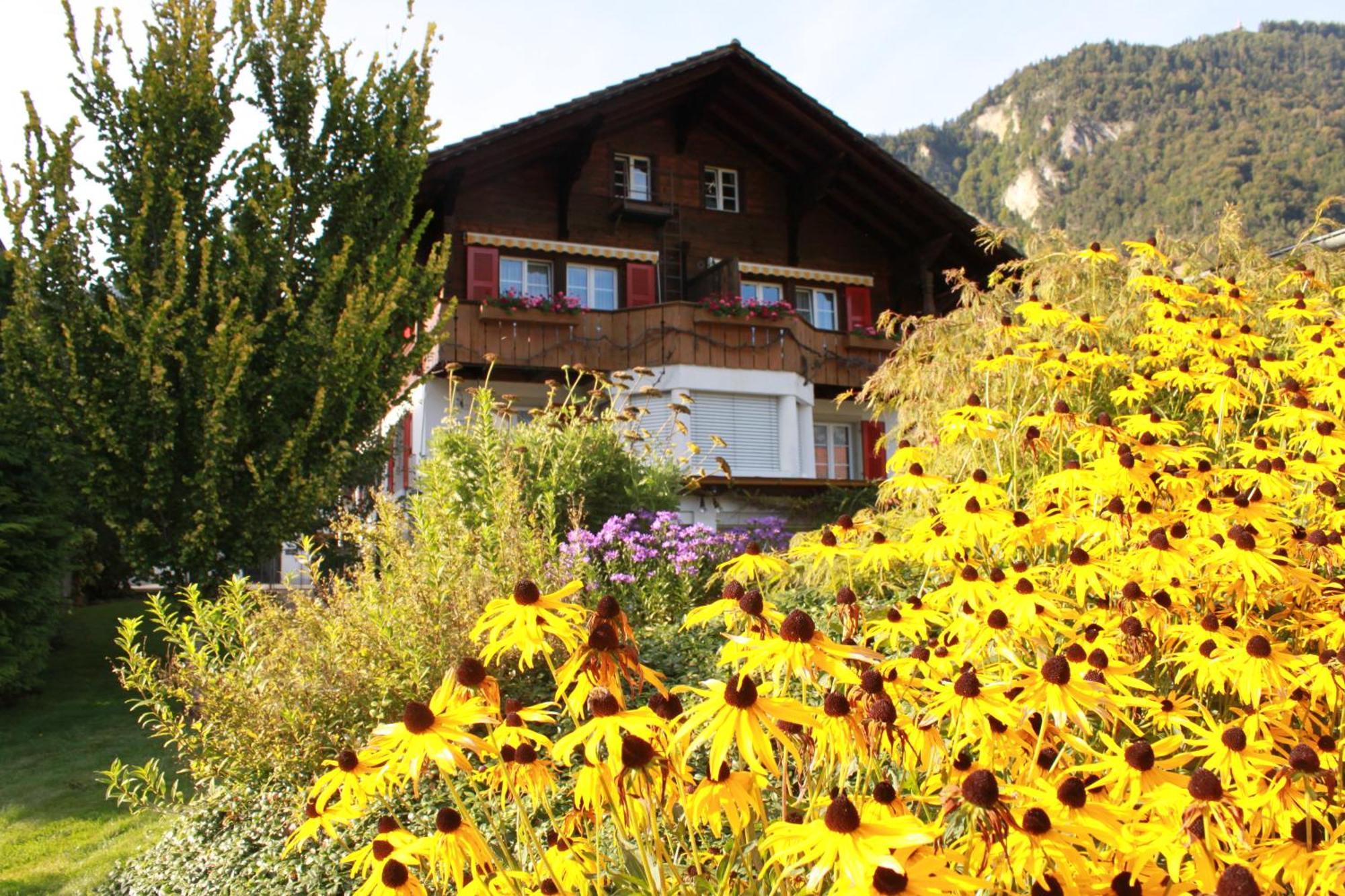 Adventure Guesthouse Interlaken Unterseen Esterno foto
